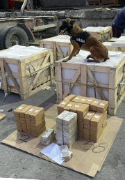 Narko-netvrk dkkede narkosmugling med lovligt logistik-setup